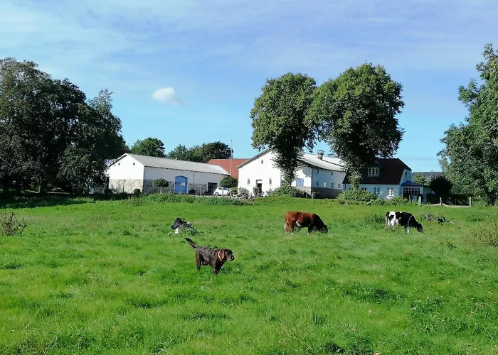Pension Slotsgaarden Jels